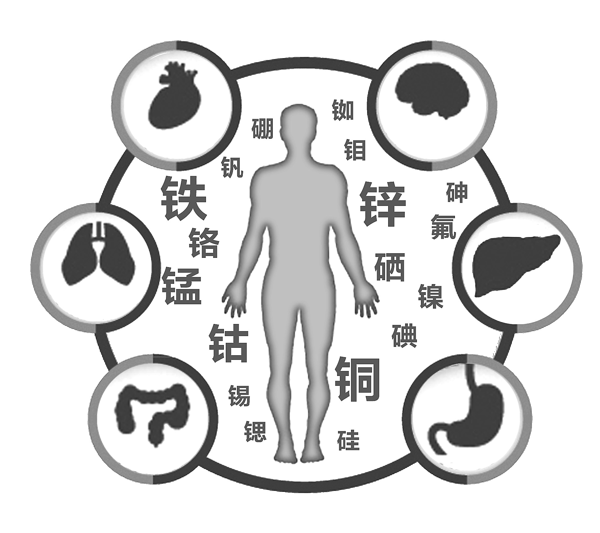 微量元素分析仪检查有必要吗