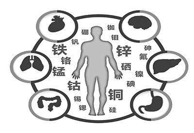 全自动微量元素分析仪厂家介绍缺少微量元素的危害